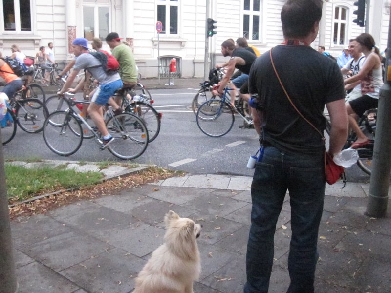 Critical Mass Hamburg 381